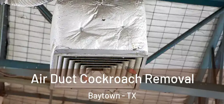 Air Duct Cockroach Removal Baytown - TX