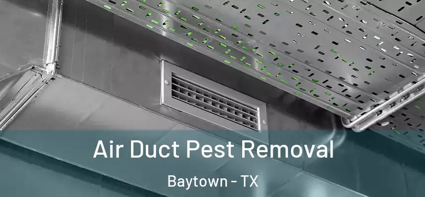 Air Duct Pest Removal Baytown - TX