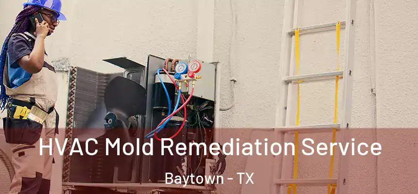 HVAC Mold Remediation Service Baytown - TX