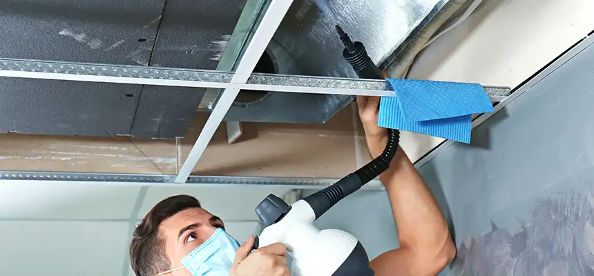 Our Air Duct Rodent Removal Services in Baytown, TX
