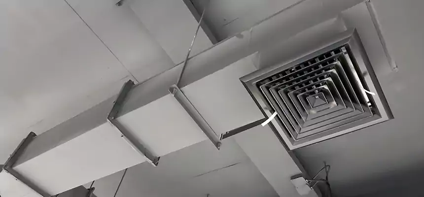 Our Rodent Droppings In Vents Services in Baytown, TX