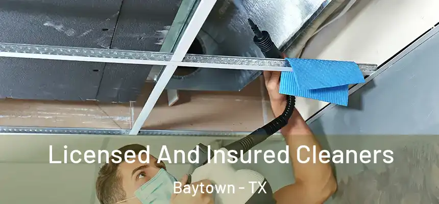 Licensed And Insured Cleaners Baytown - TX