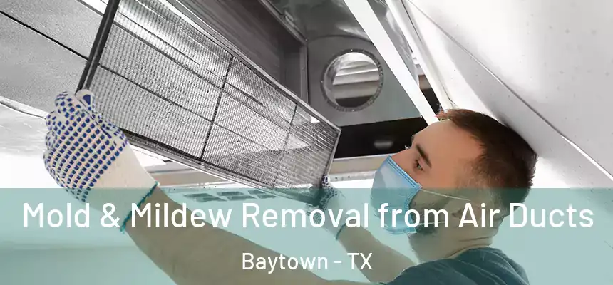 Mold & Mildew Removal from Air Ducts Baytown - TX