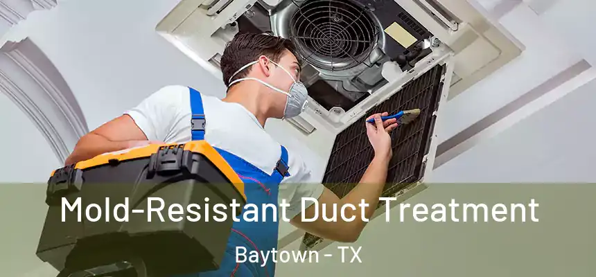 Mold-Resistant Duct Treatment Baytown - TX