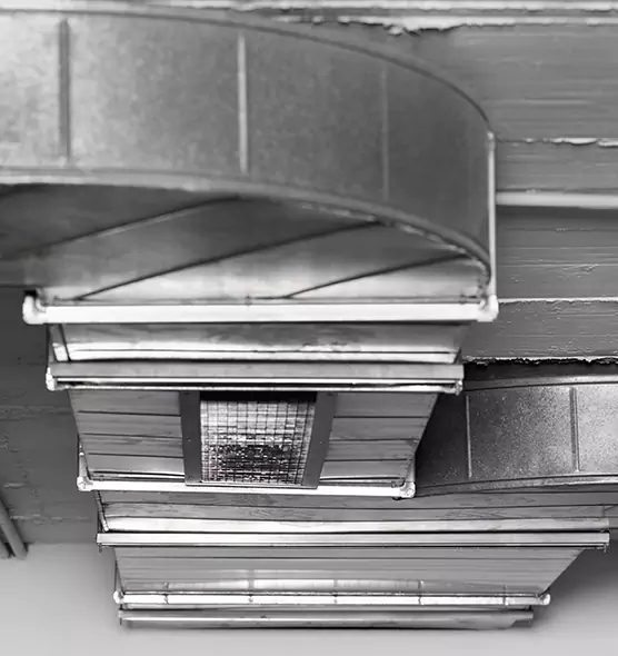 Professional Air Duct Pest Removal in Baytown, TX