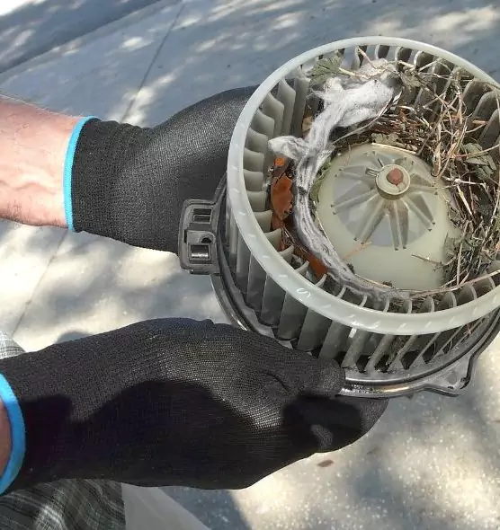 About Air Duct Rat Removal in Baytown, TX