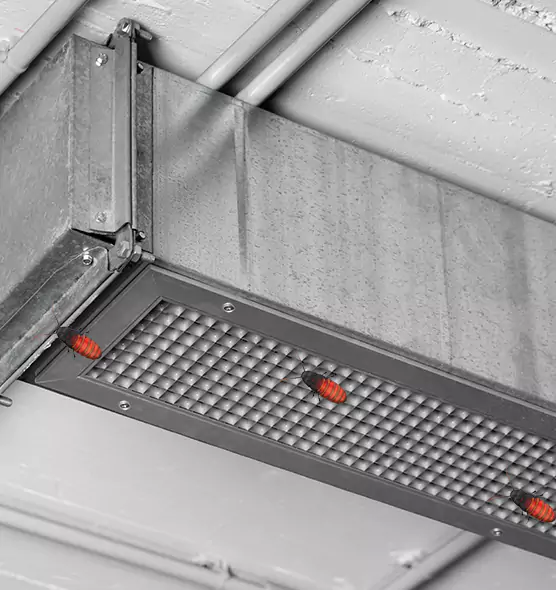 Affordable Insect Removal from Air Ducts in Baytown, TX