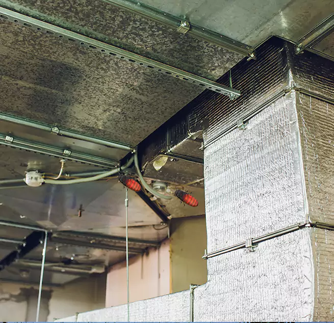 Why Homeowners & Businesses Trust Us Baytown, TX?